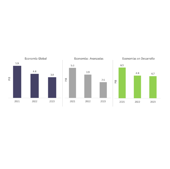 Informe Semanal de Mercado al 31.01.2022