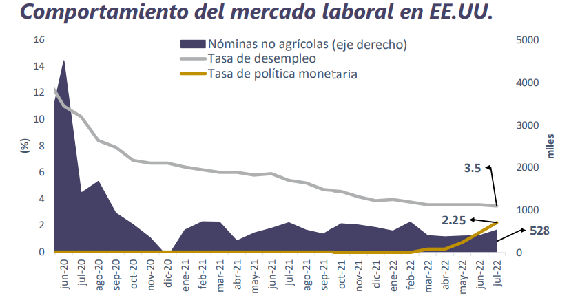 Informe Semanal de Mercado al 08 de agosto 2022