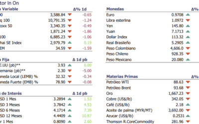 Informe diario Octubre 11