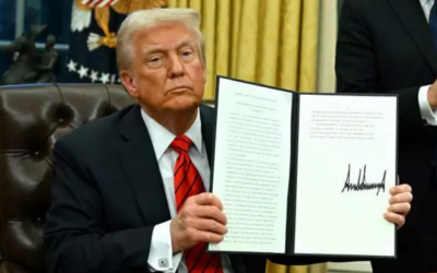 WEEKLY MARKET SUMMARY July 28th 2025