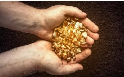 WEEKLY MARKET SUMMARY October 13th 2025