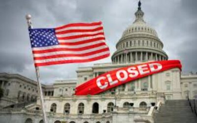 WEEKLY MARKET SUMMARY November 17th 2025