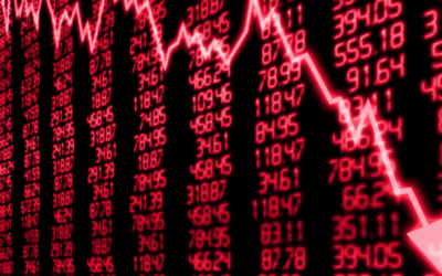 WEEKLY MARKET SUMMARY February 16th 2026