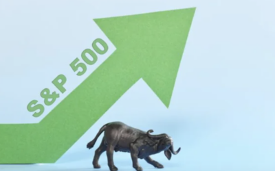 WEEKLY MARKET SUMMARY May 11th 2026